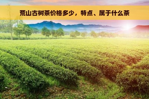 荒山古树茶价格多少，特点、属于什么茶