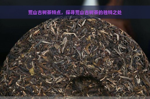 荒山古树茶特点，探寻荒山古树茶的独特之处