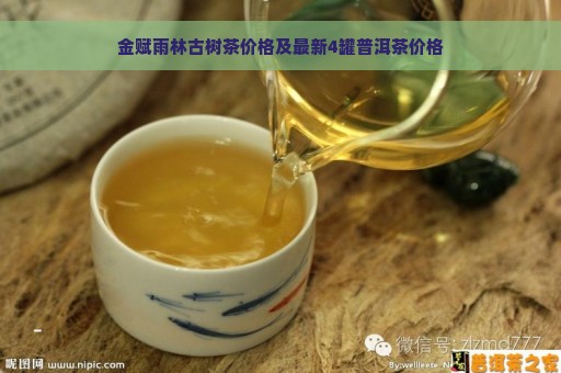 金赋雨林古树茶价格及最新4罐普洱茶价格