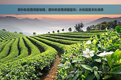 茶叶的应用场景包括，茶叶的应用场景探究：从饮品到文化传承