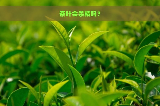 茶叶会杀精吗？