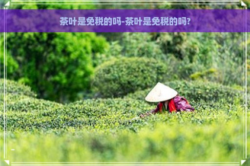 茶叶是免税的吗-茶叶是免税的吗?