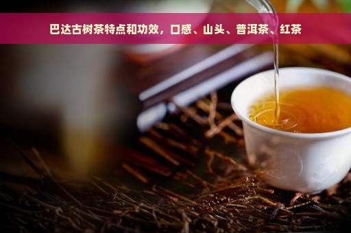 巴达古树茶特点和功效，口感、山头、普洱茶、红茶