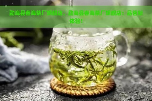 勐海县春海茶厂旗舰店，勐海县春海茶厂旗舰店：品茗新体验！