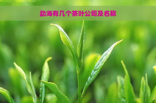 勐海有几个茶叶公司及名称