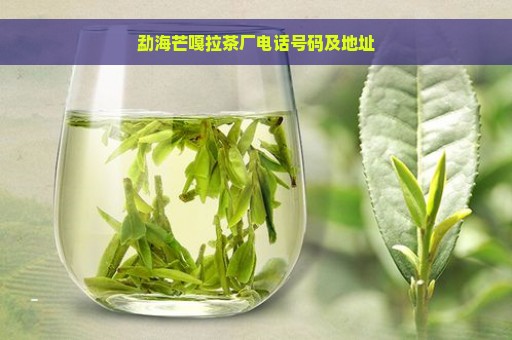 勐海芒嘎拉茶厂电话号码及地址