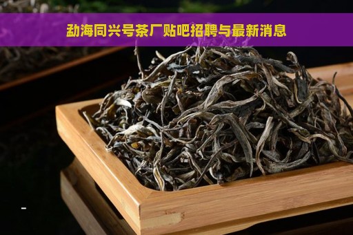 勐海同兴号茶厂贴吧招聘与最新消息