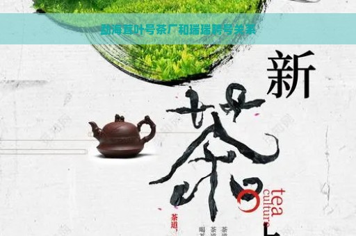 勐海茸叶号茶厂和瑞瑞聘号关系