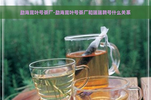 勐海茸叶号茶厂-勐海茸叶号茶厂和瑞瑞聘号什么关系