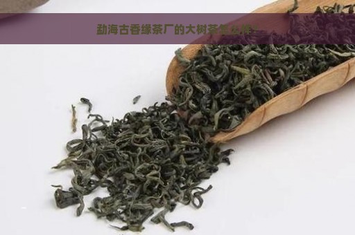 勐海古香缘茶厂的大树茶怎么样？