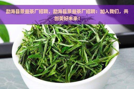 勐海县景益茶厂招聘，勐海县景益茶厂招聘：加入我们，共创美好未来！