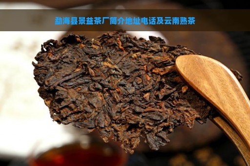 勐海县景益茶厂简介地址电话及云南熟茶