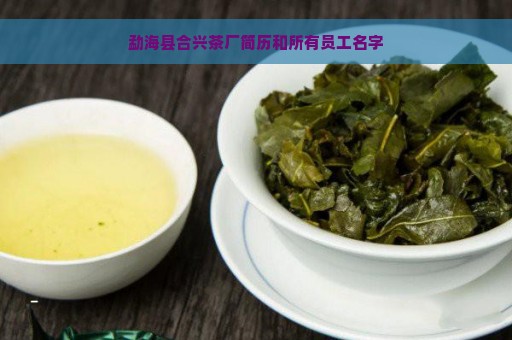 勐海县合兴茶厂简历和所有员工名字