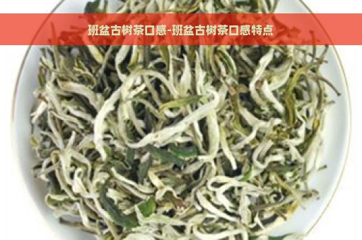 班盆古树茶口感-班盆古树茶口感特点