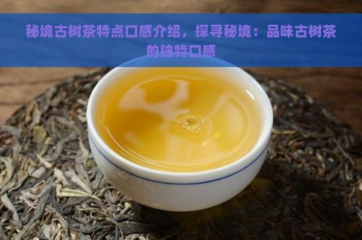 秘境古树茶特点口感介绍，探寻秘境：品味古树茶的独特口感