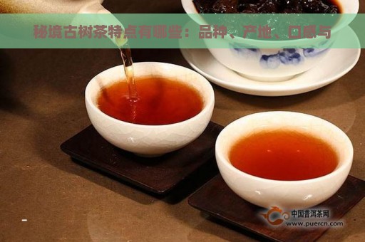 秘境古树茶特点有哪些：品种、产地、口感与