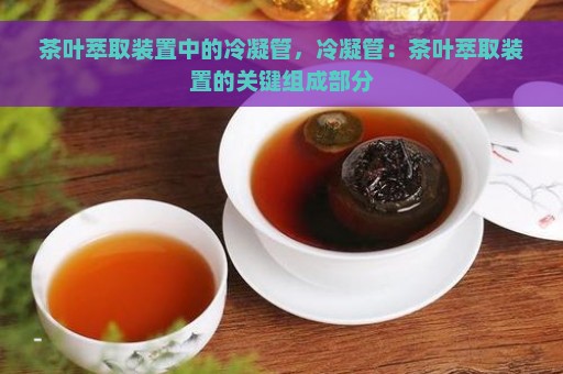 茶叶萃取装置中的冷凝管，冷凝管：茶叶萃取装置的关键组成部分