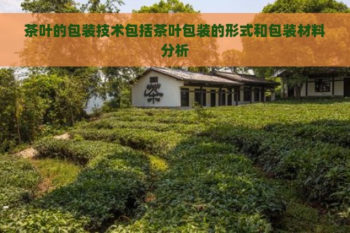 茶叶的包装技术包括茶叶包装的形式和包装材料分析