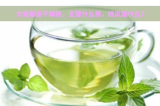 大益茶是干嘛的，主营什么茶，档次是什么？