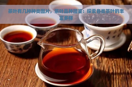 茶叶有几种种类图片，茶叶品种图鉴：探索各类茶叶的丰富多样