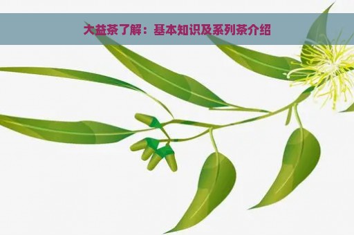 大益茶了解：基本知识及系列茶介绍