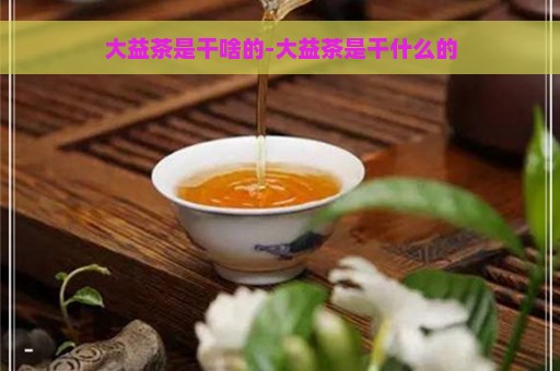 大益茶是干啥的-大益茶是干什么的