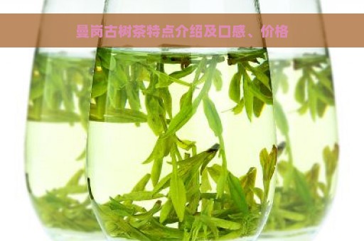 曼岗古树茶特点介绍及口感、价格