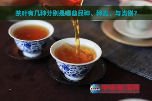 茶叶有几种分别是哪些品种、种类、与类别？