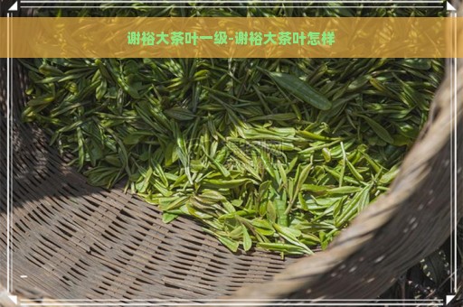 谢裕大茶叶一级-谢裕大茶叶怎样