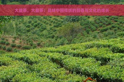 大益茶，大益茶：品味中国传统的醇香与文化的绵长