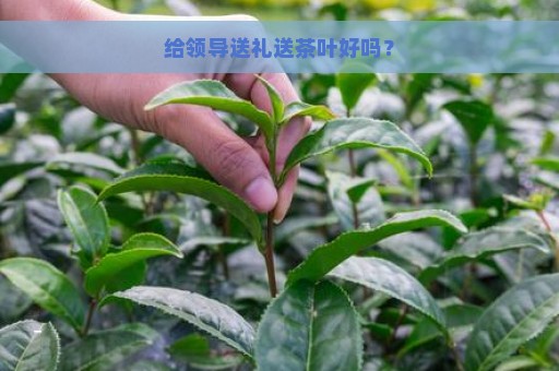 给领导送礼送茶叶好吗？