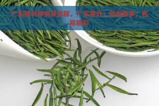 广东茶叶种类及名称，广东茶叶：品类繁多，名称精彩