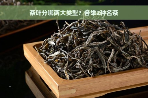 茶叶分哪两大类型？各举2种名茶