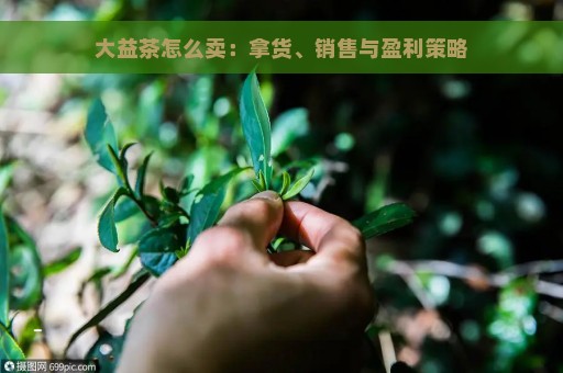 大益茶怎么卖：拿货、销售与盈利策略