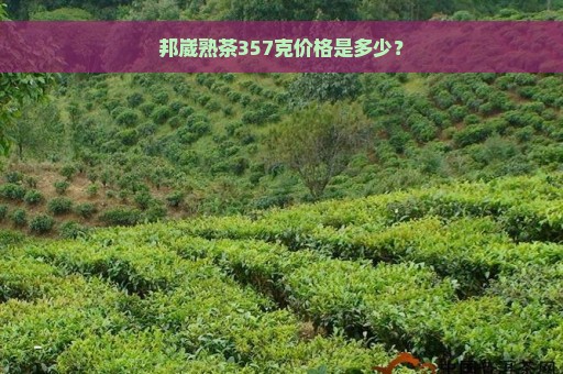 邦崴熟茶357克价格是多少？