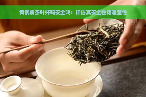 黄铜装茶叶好吗安全吗：评估其安全性和适宜性