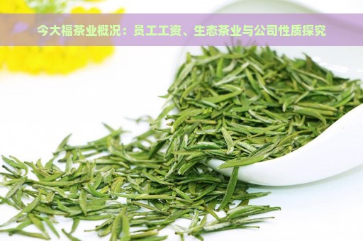 今大福茶业概况：员工工资、生态茶业与公司性质探究