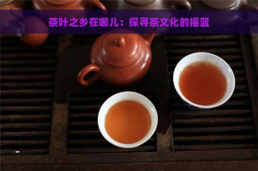 茶叶之乡在哪儿：探寻茶文化的摇篮