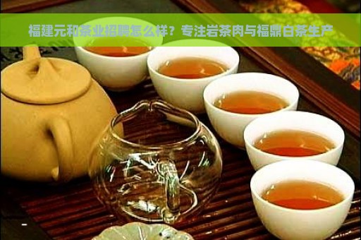 福建元和茶业招聘怎么样？专注岩茶肉与福鼎白茶生产