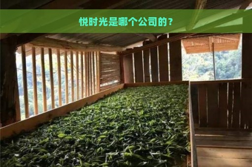 悦时光是哪个公司的？