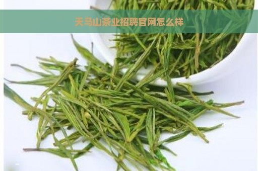 天马山茶业招聘官网怎么样