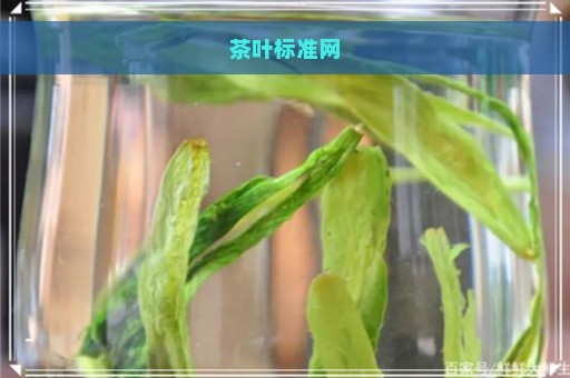 茶叶标准网