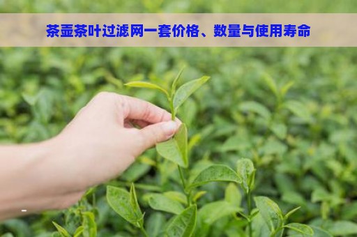 茶壶茶叶过滤网一套价格、数量与使用寿命