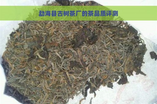 勐海县古树茶厂的茶品质评测