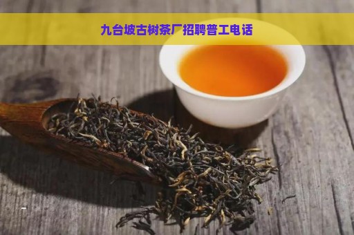 九台坡古树茶厂招聘普工电话