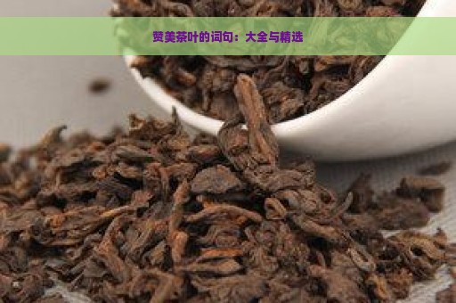 赞美茶叶的词句：大全与精选