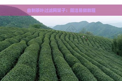 自制茶叶过滤网架子：简洁易做教程