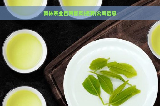 雨林茶业官网首页|招聘|公司信息