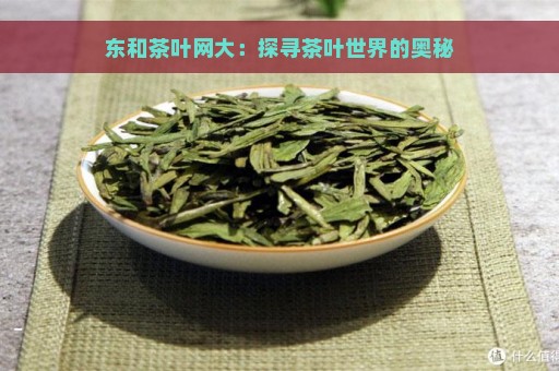 东和茶叶网大：探寻茶叶世界的奥秘