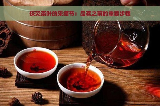 探究茶叶的采摘节：品茗之前的重要步骤